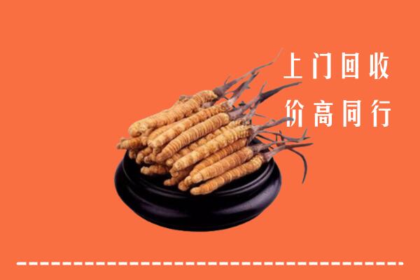 辽阳回收散虫草
