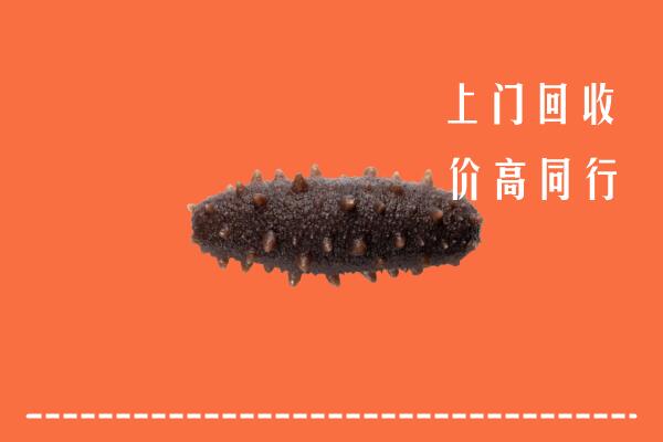 高价求购：辽阳回收海参